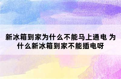 新冰箱到家为什么不能马上通电 为什么新冰箱到家不能插电呀